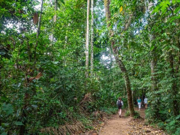 Peru Amazon tour, 4 days