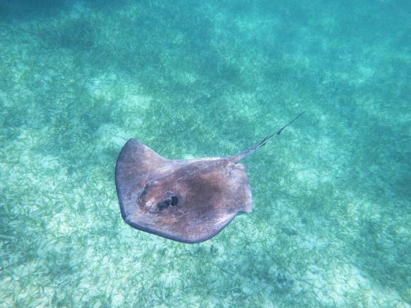 Tailor made holiday in Belize