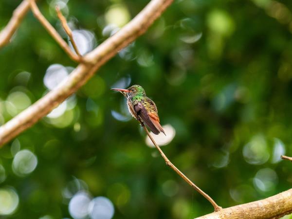 Tailor made holiday in Belize