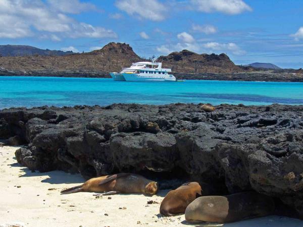 Galapagos luxury cruise, Central & Northern Islands