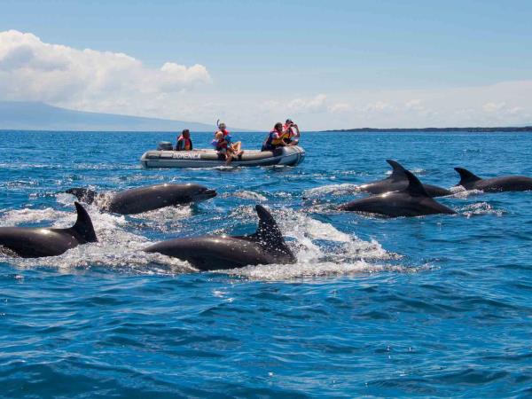 Galapagos luxury cruise, Central & Northern Islands