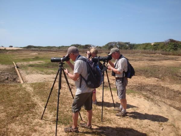 Eco lodge in the Gambia