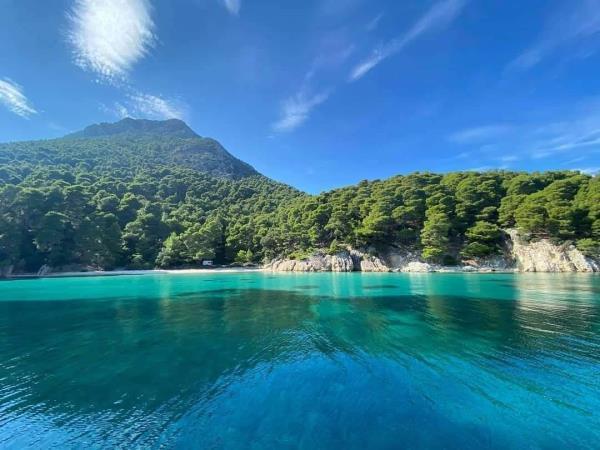 Bird watching in Greece