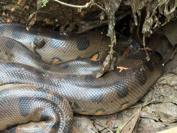 Ecuador adventure vacation, tailor made