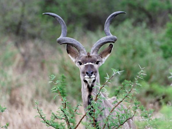 Kwa Zulu Natal self drive South Africa vacation