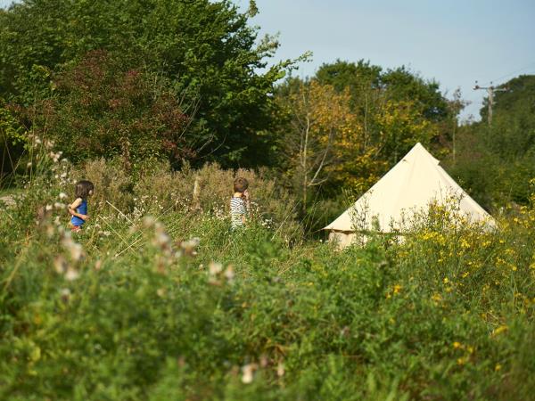 Sussex campsite in the South Downs, England