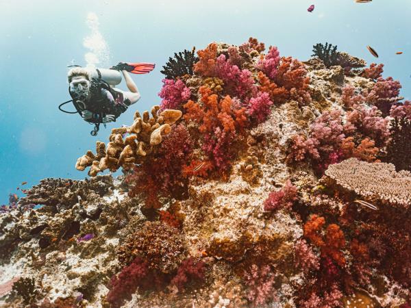 Fiji vacations, island hopping tour