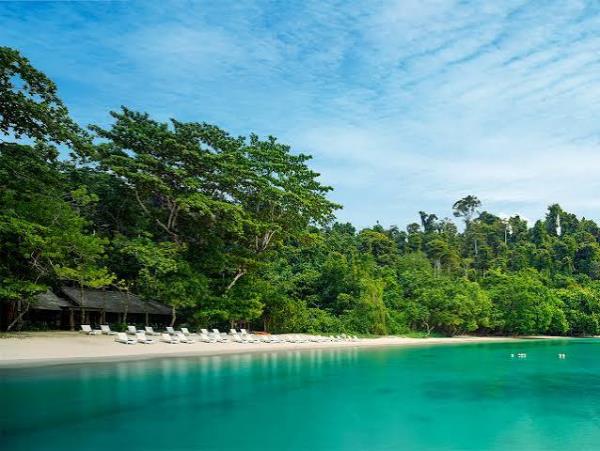 Borneo tailor made tour on a shoestring