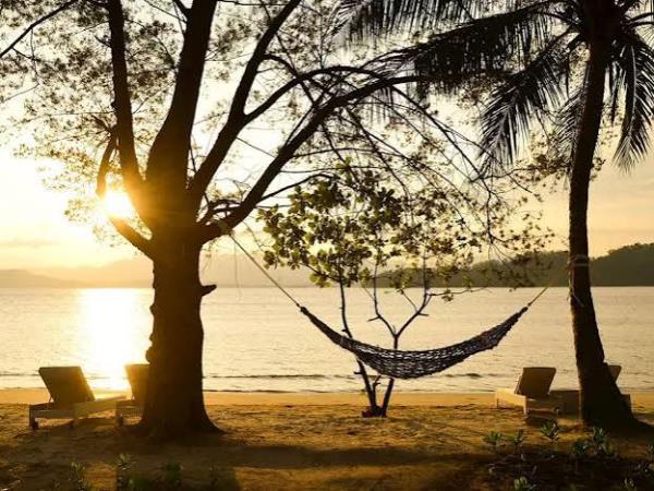 Borneo tailor made tour on a shoestring
