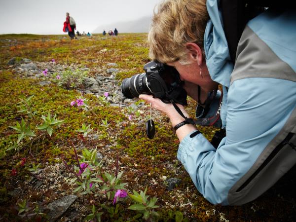 Svalbard, Greenland & Iceland Arctic cruise