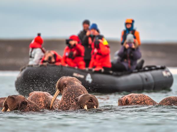 Svalbard, Greenland & Iceland Arctic cruise
