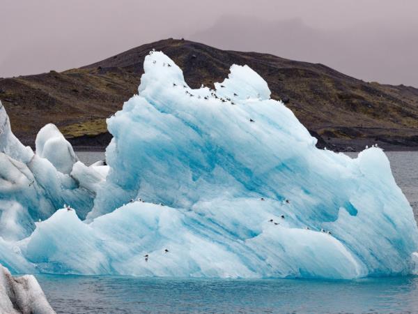 Iceland cruise, fire & ice