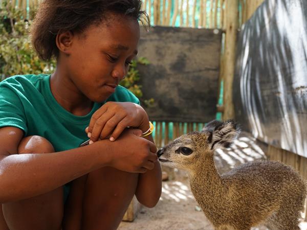Wildlife orphanage volunteering in South Africa