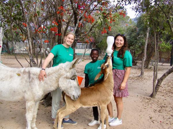 Wildlife orphanage volunteering in South Africa