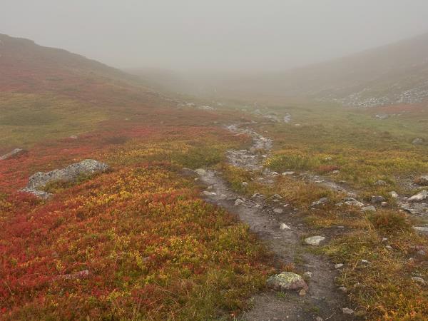 Autumn in Lapland hiking vacation, small group