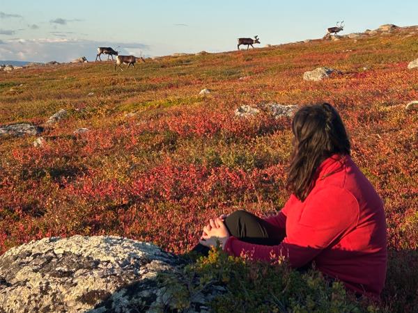 Autumn in Lapland hiking vacation, small group
