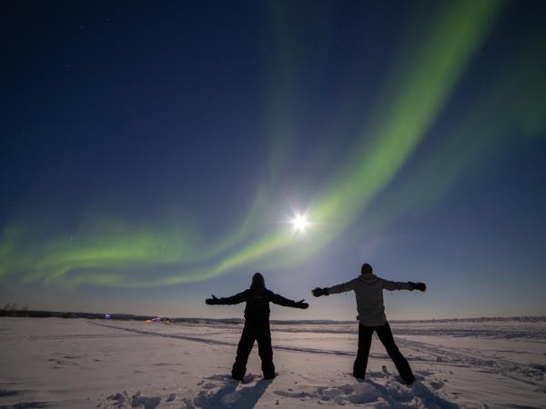 Northern Lights and wildlife vacation in Swedish Lapland