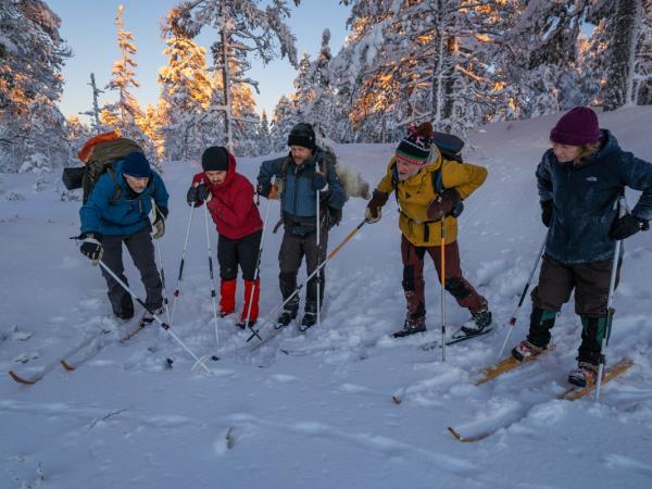 Northern Lights and wildlife vacation in Swedish Lapland