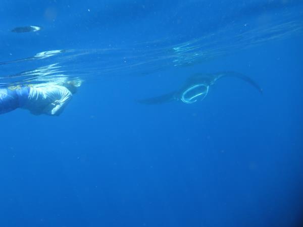 Yucatan wildlife and nature vacation, Mexico