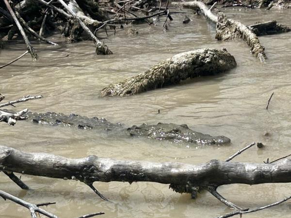 Yucatan wildlife and nature vacation, Mexico