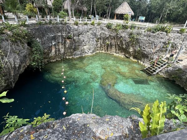 Yucatan wildlife and nature vacation, Mexico