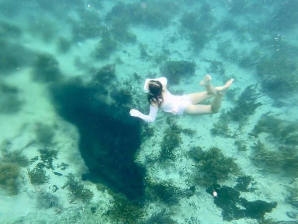 Yucatan wildlife and nature vacation, Mexico