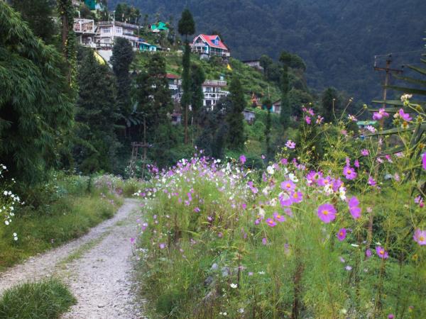 Multi-Region Himalayan Walking tour: Shimla & Darjeeling (shell)