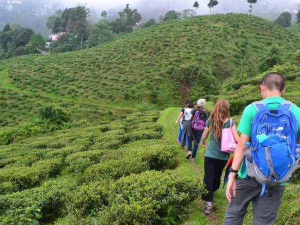 Multi-Region Himalayan Walking tour: Shimla & Darjeeling (shell)