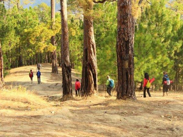 Multi-Region Himalayan Walking tour: Shimla & Darjeeling (shell)