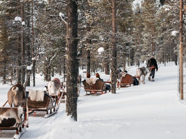 Northern lights family vacation, tailor made