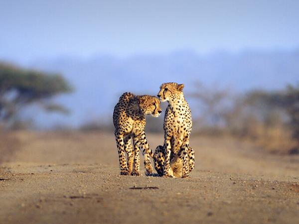 Kwa Zulu Natal safari, off the beaten track