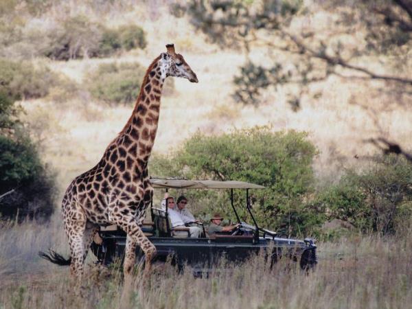 South Africa self drive safari in Limpopo province