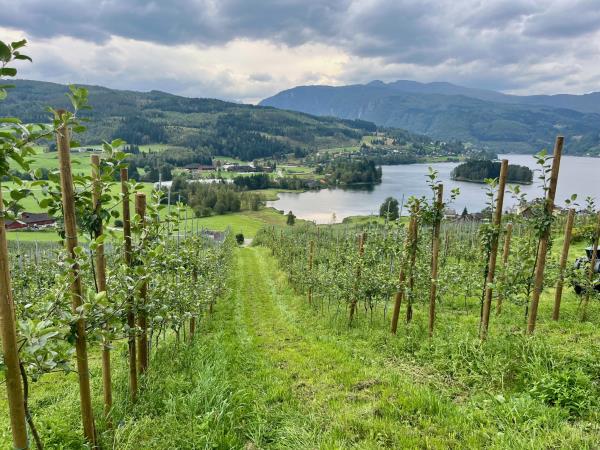 Western Norway luxury vacation