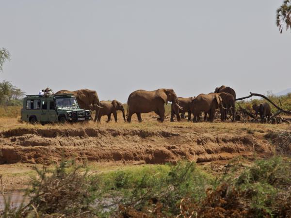 Kenya safari tour, north and south