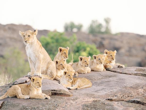 Kenya safari tour, north and south