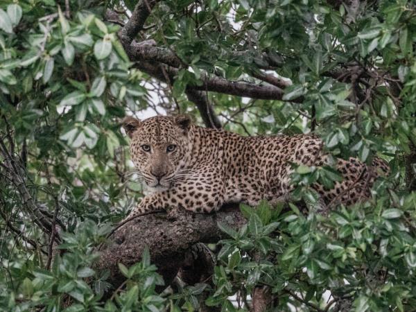 Kenya safari tour, north and south