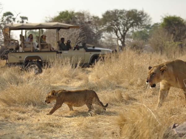 Tanzania luxury safari and beach vacation
