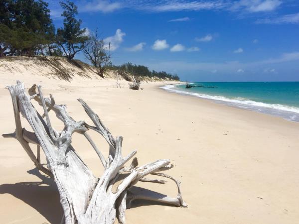 Southern Africa luxury wildlife & beach vacation