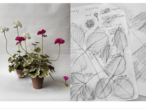 Paper botanical sculpture workshop in Greece