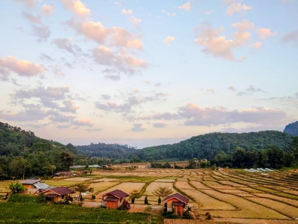 Self drive Tuk Tuk adventure vacation Thailand