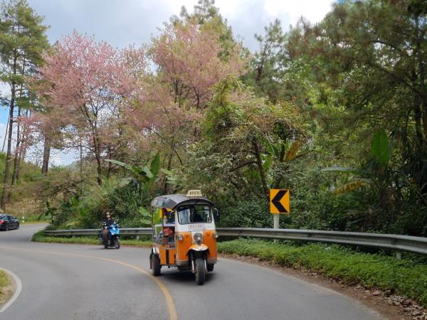 Northern Thailand Tuk Tuk vacation