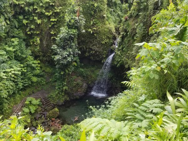 Dominica nature and culture vacation