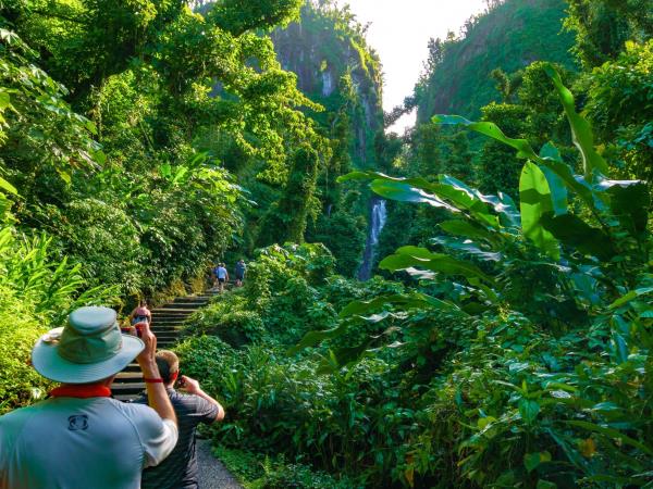 Dominica nature and culture vacation
