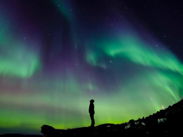 Reykjav�k & the Blue Lagoon family vacation in Iceland