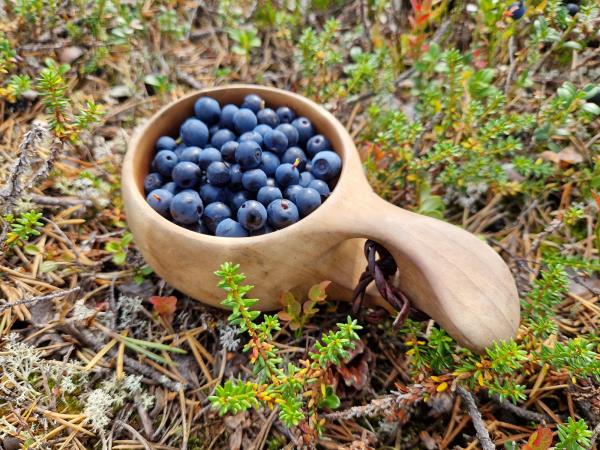 Finland hiking vacation