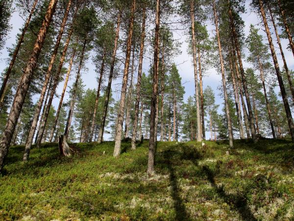 Finland hiking vacation