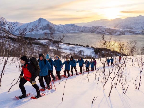 Arctic expedition cruise in Norway,under the Northern Lights