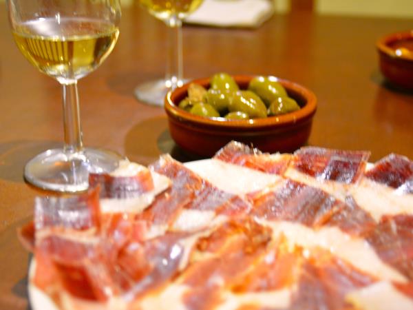 Andalucia spansih language and culture vacation