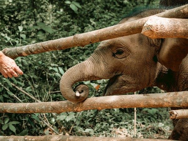 Laos tour, off the beaten track