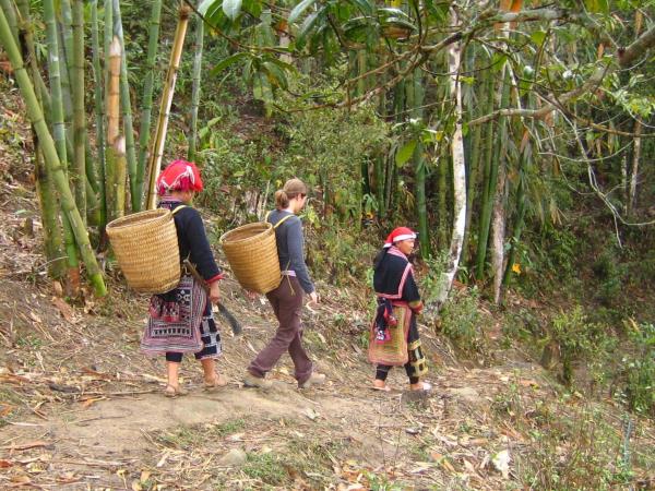 Northern Vietnam cultural vacation